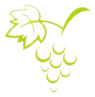 SAS-thouard-logo-2